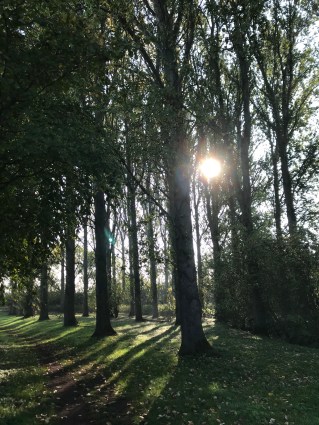 GFA4KDMvQhyur4uPstM8Lw