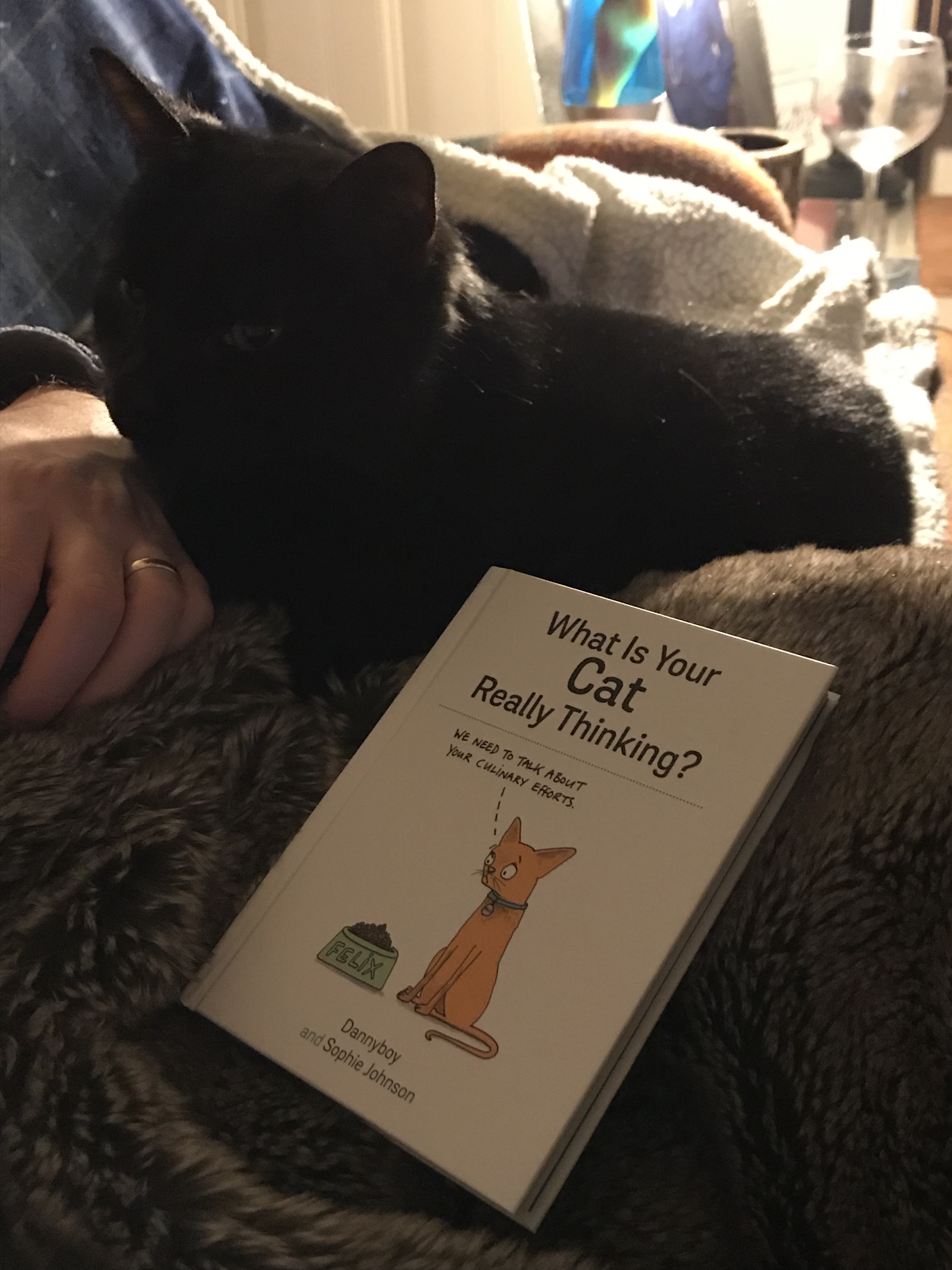 9zyq8fp0qcq3c14jz49hvq