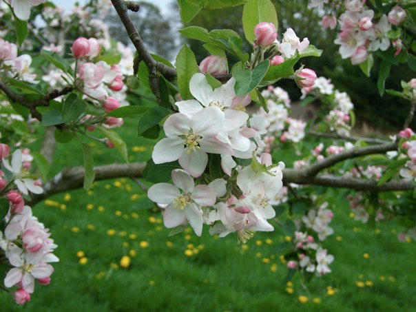 222207_10150239581306273_4967074_n