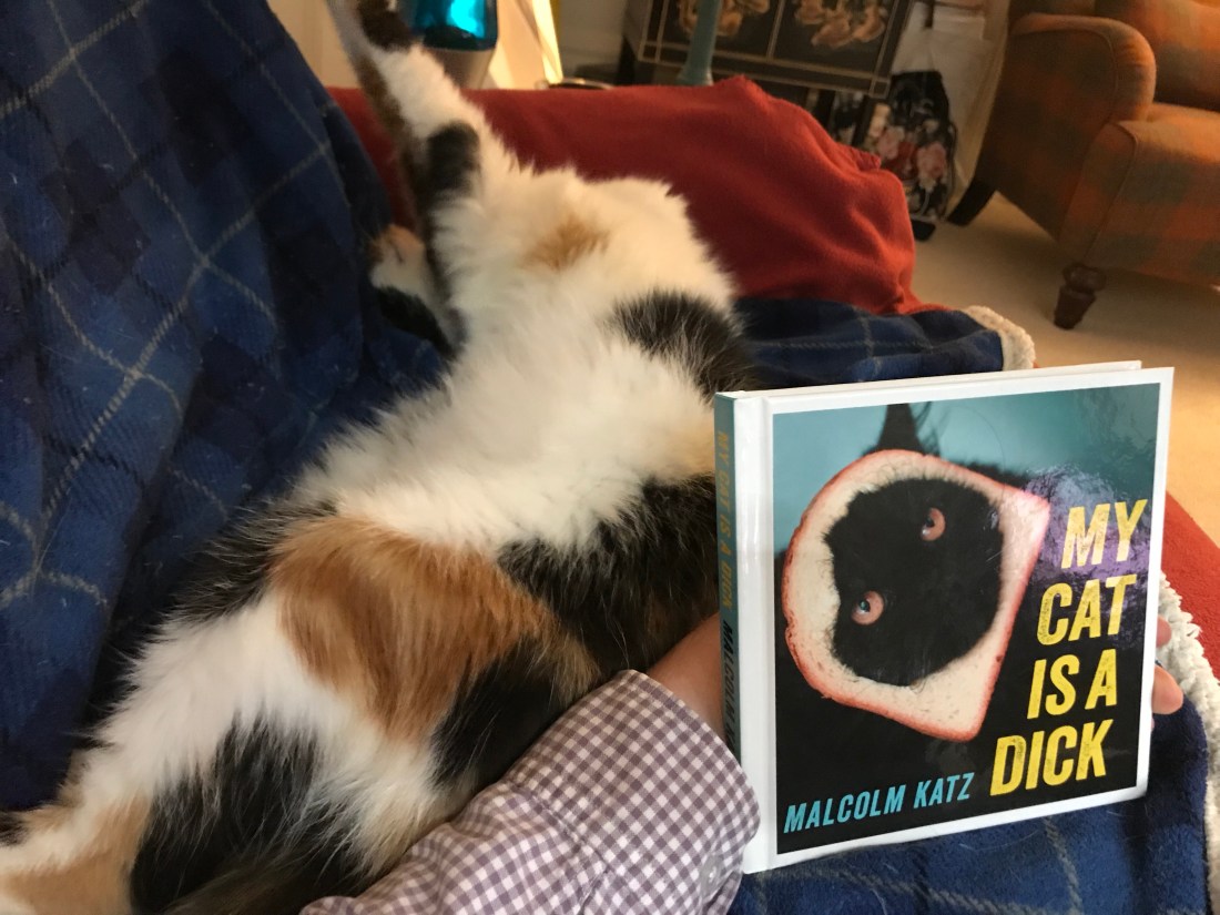 jPaA1WUuQFKT5Kp4Iv2LDw