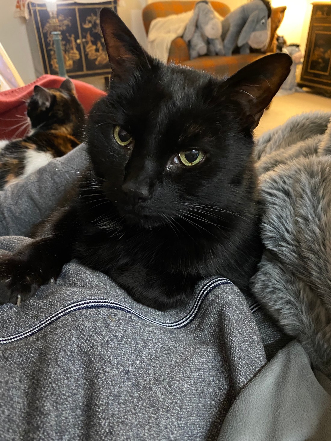 0b1upGLjSrCfV+0JKcI+zg