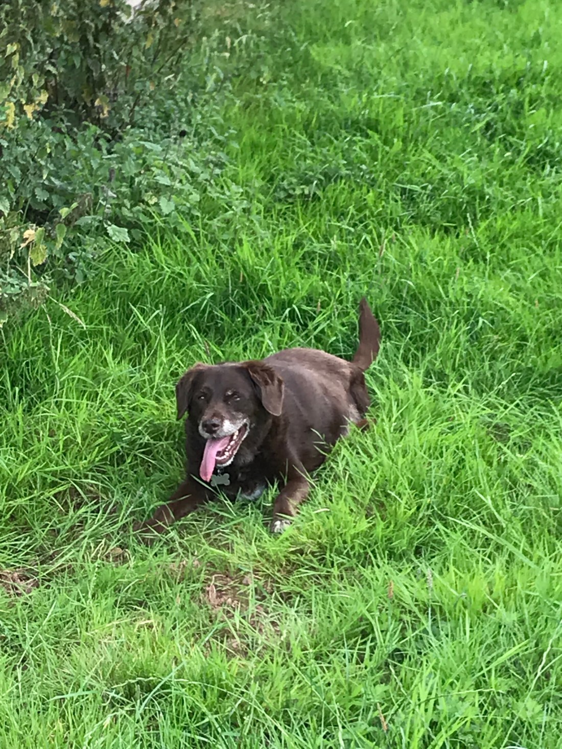 1MPORyQRSkazkNe9GdPIgQ