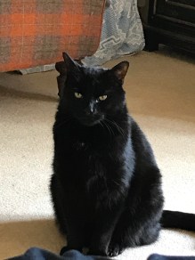 y8qWzpqZQXWBGPV23GuljQ