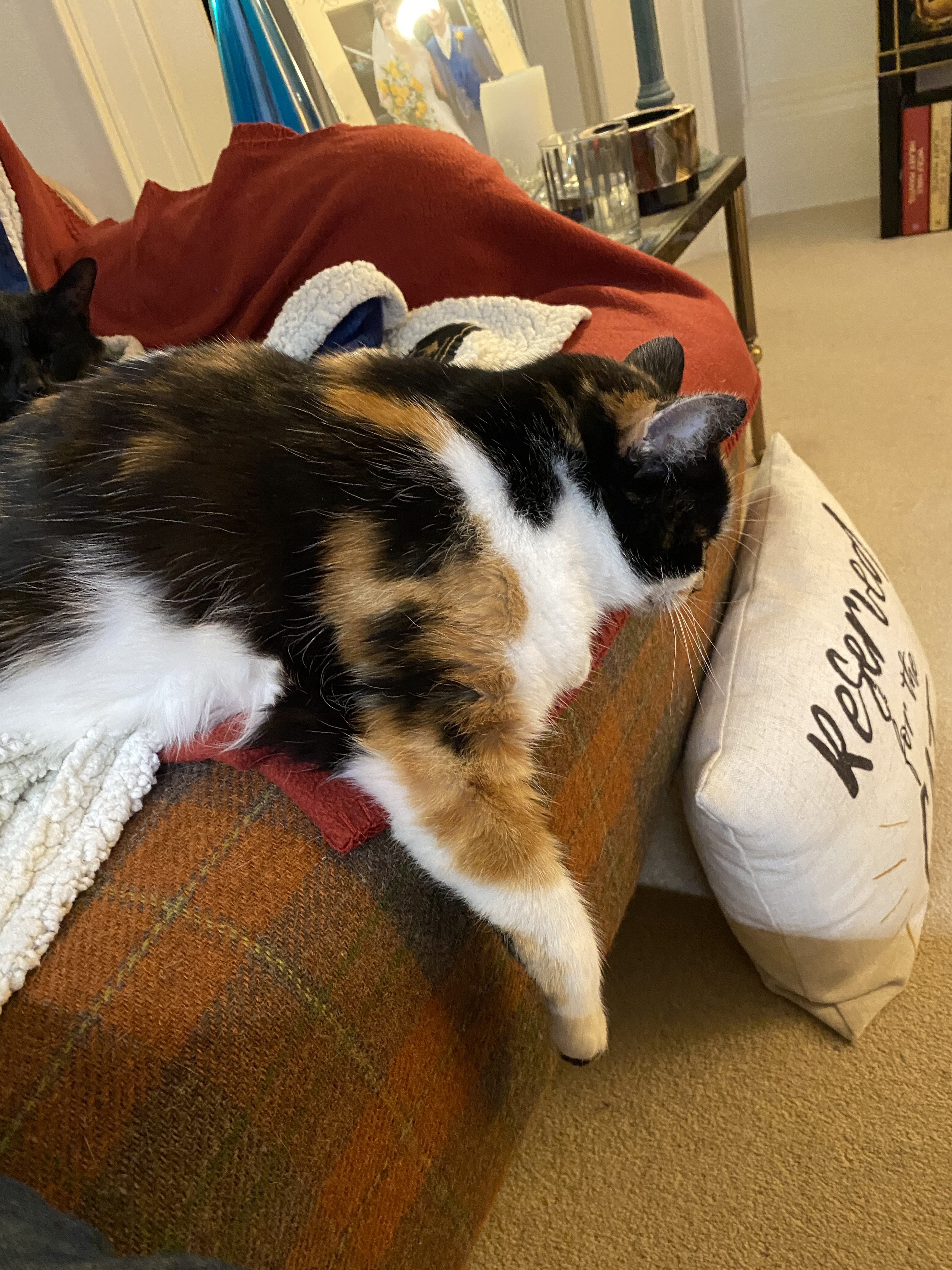 52E19D67-BA29-4C14-B69C-3B7140BD5FFD