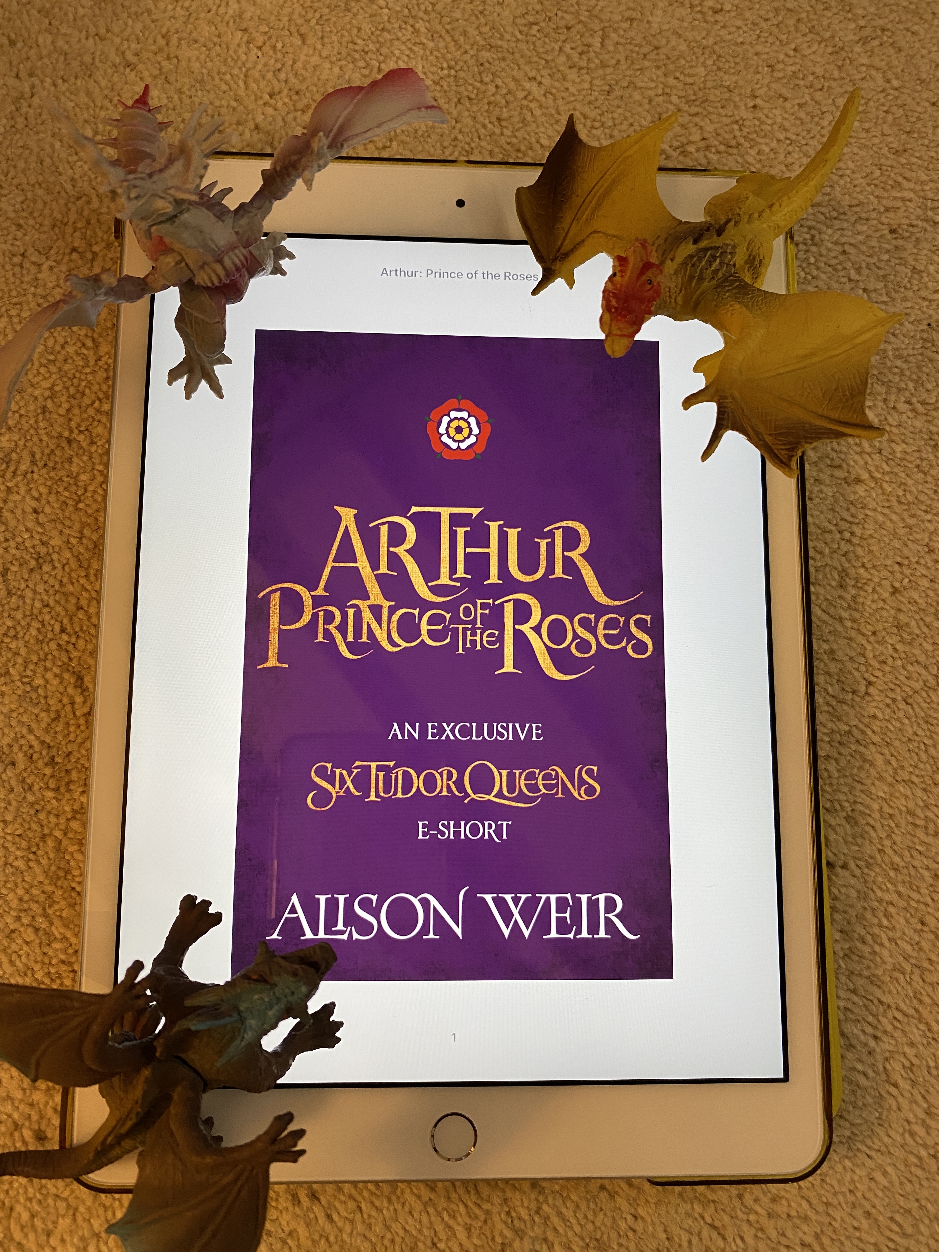 9BCC00BB-565B-4C2E-9D28-501BAC2702AB