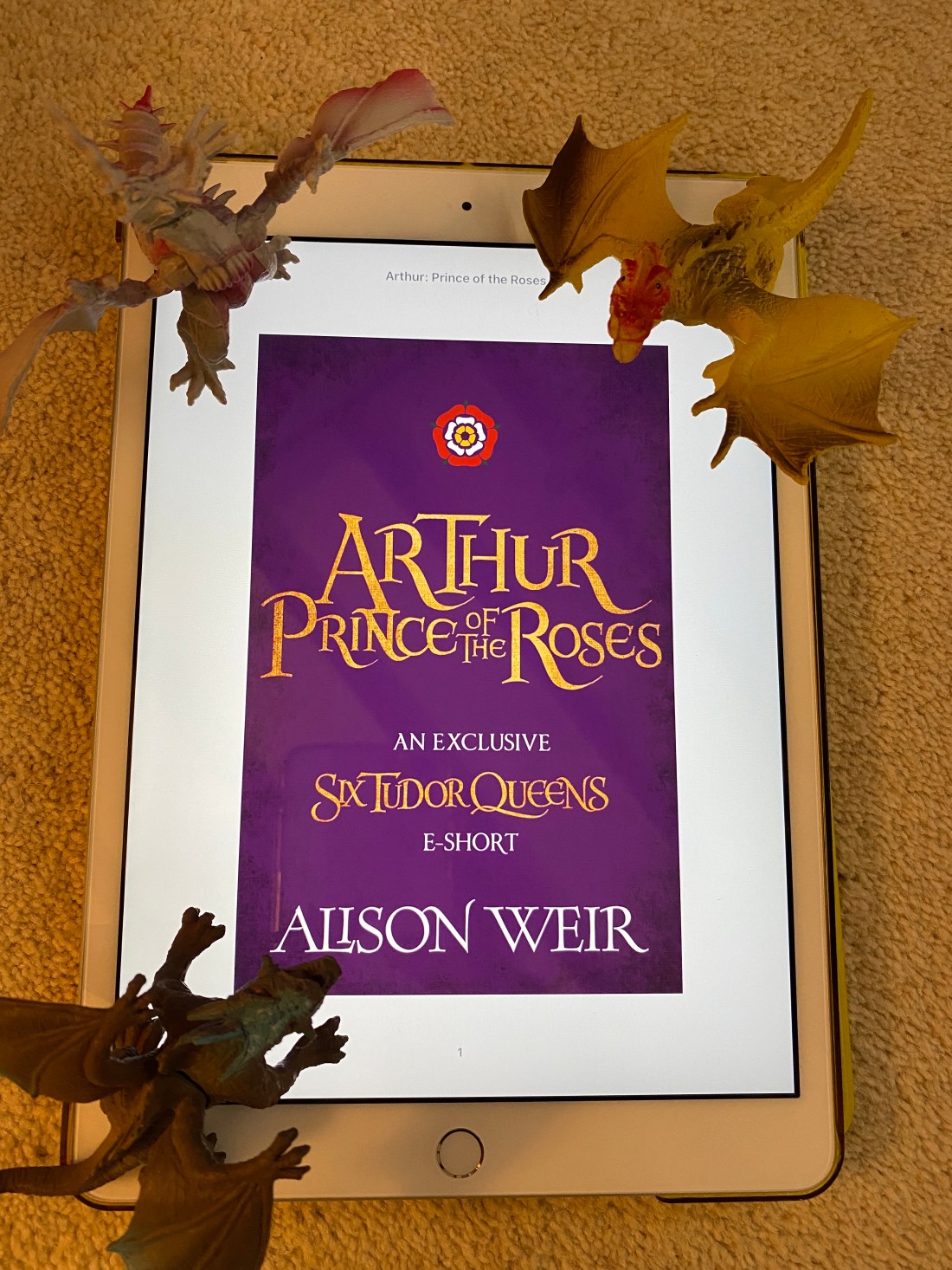 9BCC00BB-565B-4C2E-9D28-501BAC2702AB