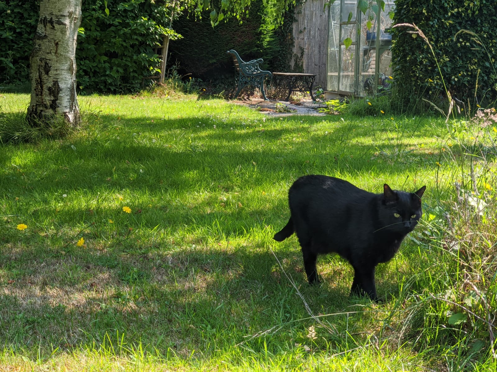 A0ECEEF2-AC48-4B1F-B2F9-3B6CF4A4646A