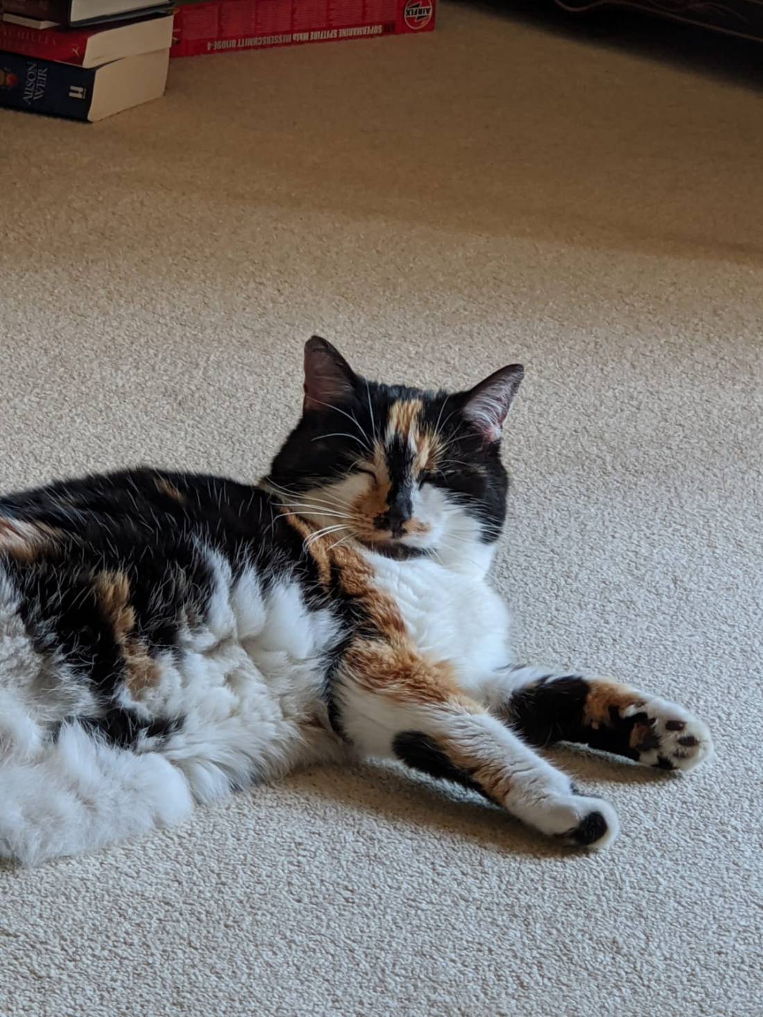 CF3B3798-2D7F-47D0-9422-26E0E4CBDE93