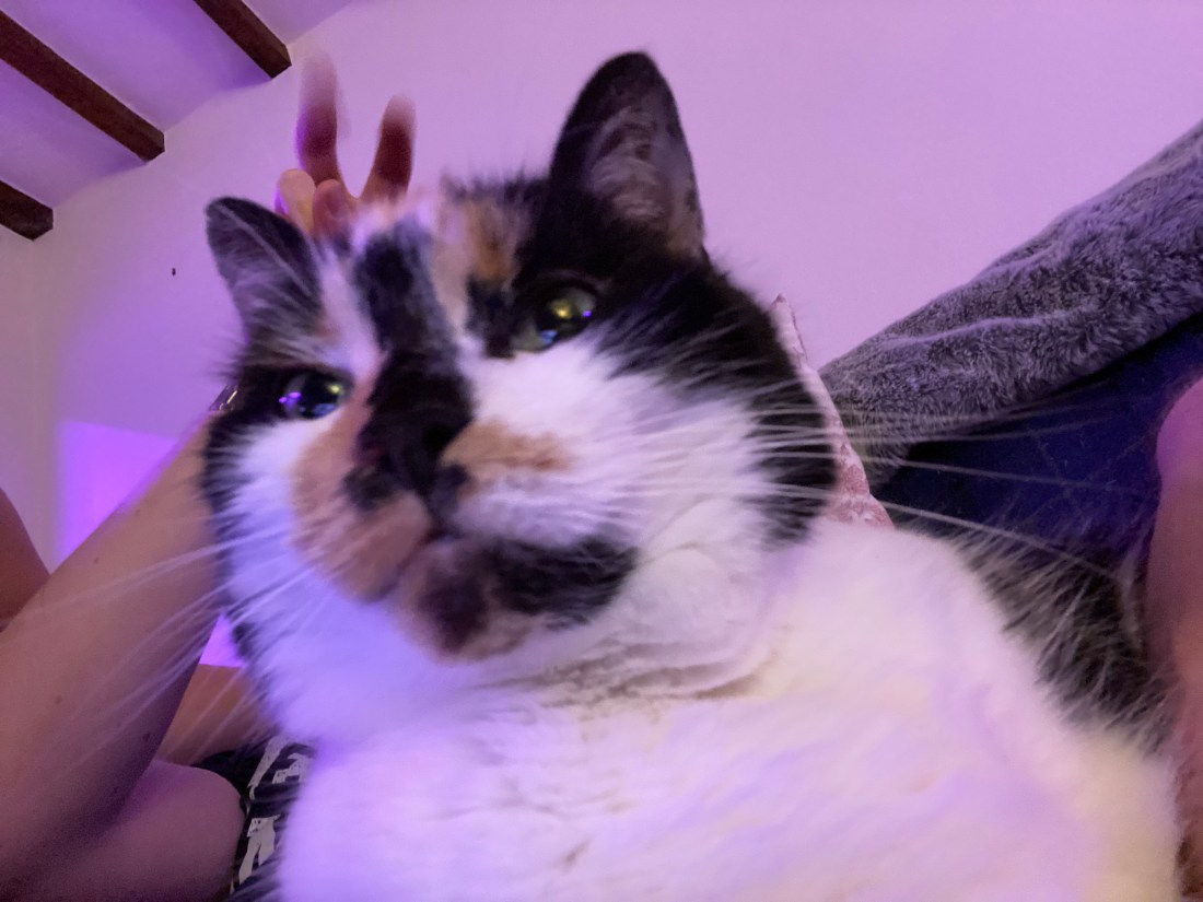 26FBBBBF-3CE6-4AEF-A89C-ECBF3453ECD3