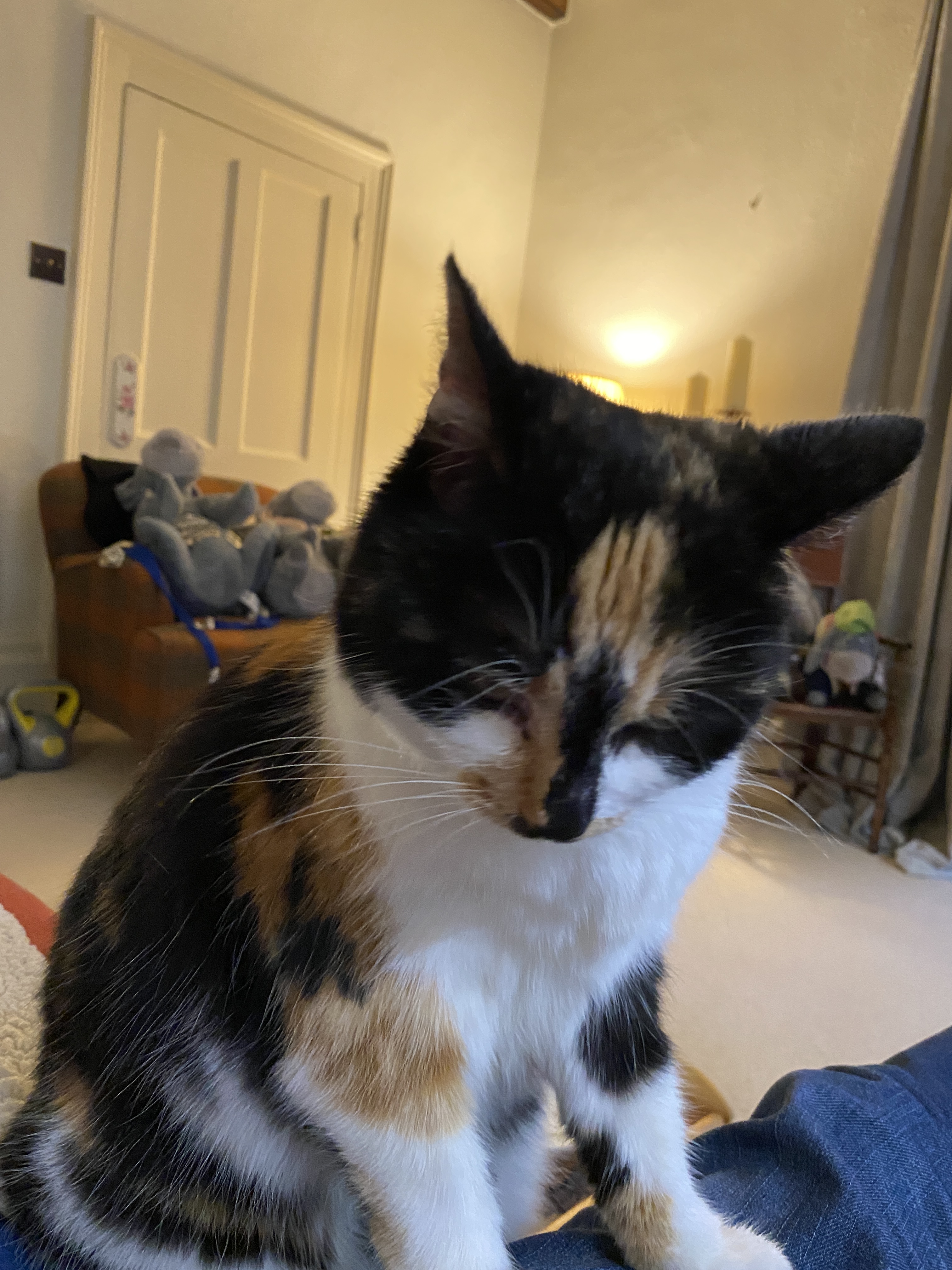 549F6C31-96A3-41B1-AD1C-3EFAF0C9A8F2