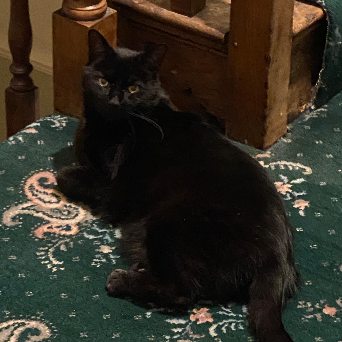 7637BD64-236A-44FB-87CB-C841F71F4A0E