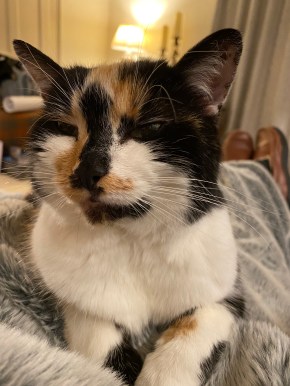 E4977A97-B4F6-4C91-A875-63946A89F859